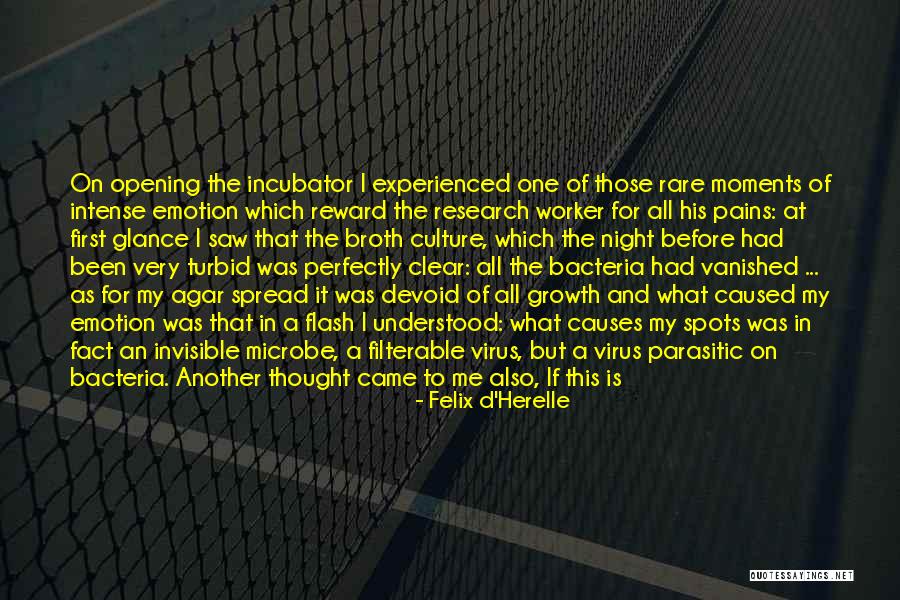 Was Dissolved Quotes By Felix D'Herelle Was Dissolved Quotes By Felix D'Herelle