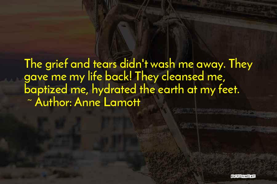 Wash Away Quotes By Anne Lamott