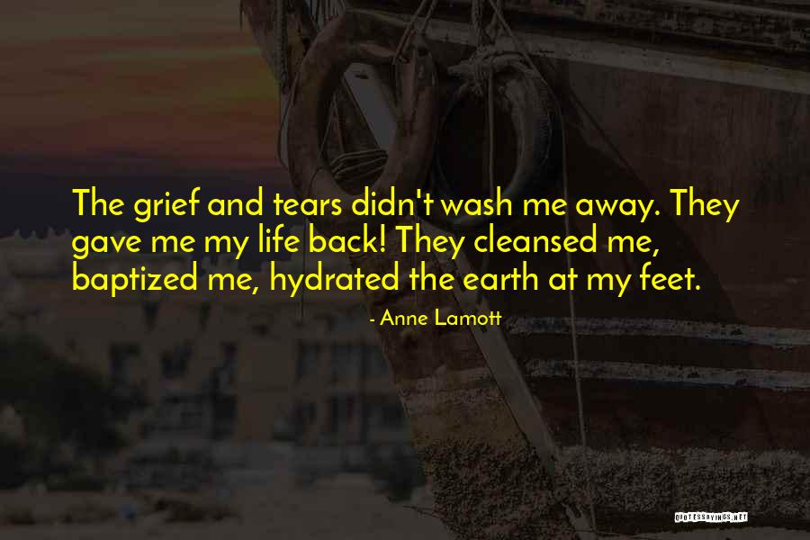 Wash Away Quotes By Anne Lamott