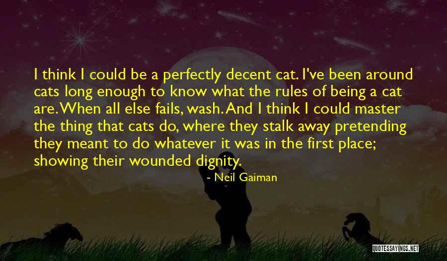 Wash Away Quotes By Neil Gaiman