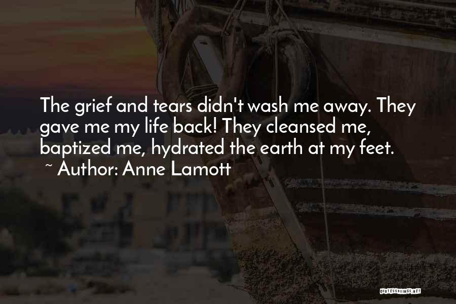 Wash It All Away Quotes By Anne Lamott