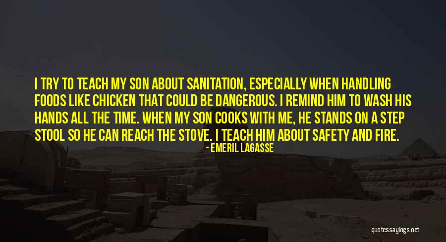 Wash My Hands Quotes By Emeril Lagasse Wash My Hands Quotes By Emeril Lagasse
