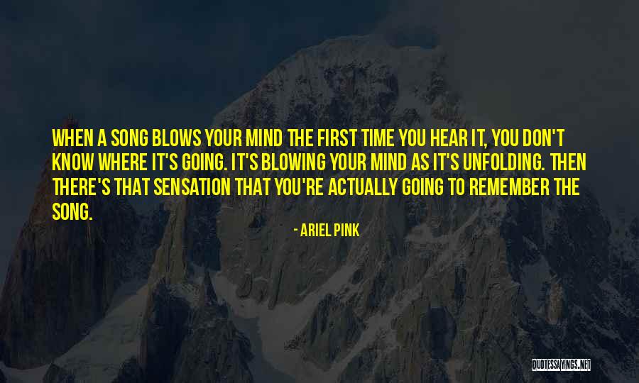 Washabaugh Indians Quotes By Ariel Pink Washabaugh Indians Quotes By Ariel Pink
