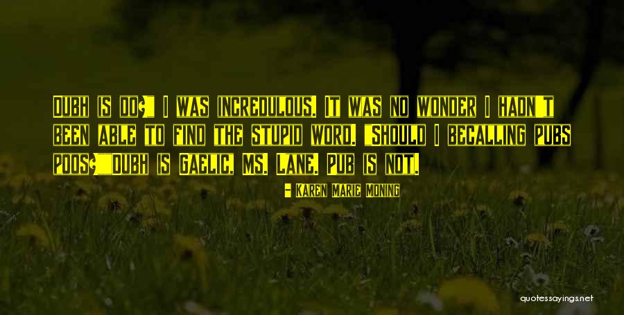 Washboard Laundry Quotes By Karen Marie Moning Washboard Laundry Quotes By Karen Marie Moning