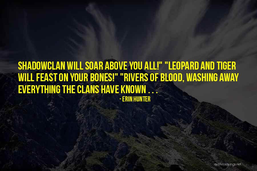 Washing Away Quotes By Erin Hunter