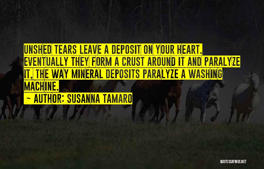 Washing Machine Quotes By Susanna Tamaro