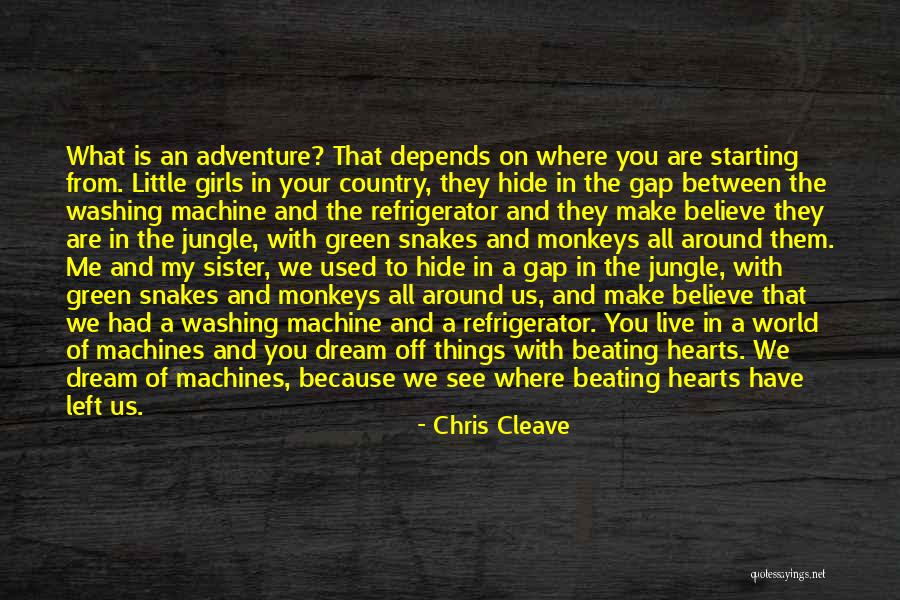 Washing Machines Quotes By Chris Cleave