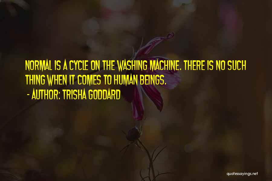 Washing Machines Quotes By Trisha Goddard