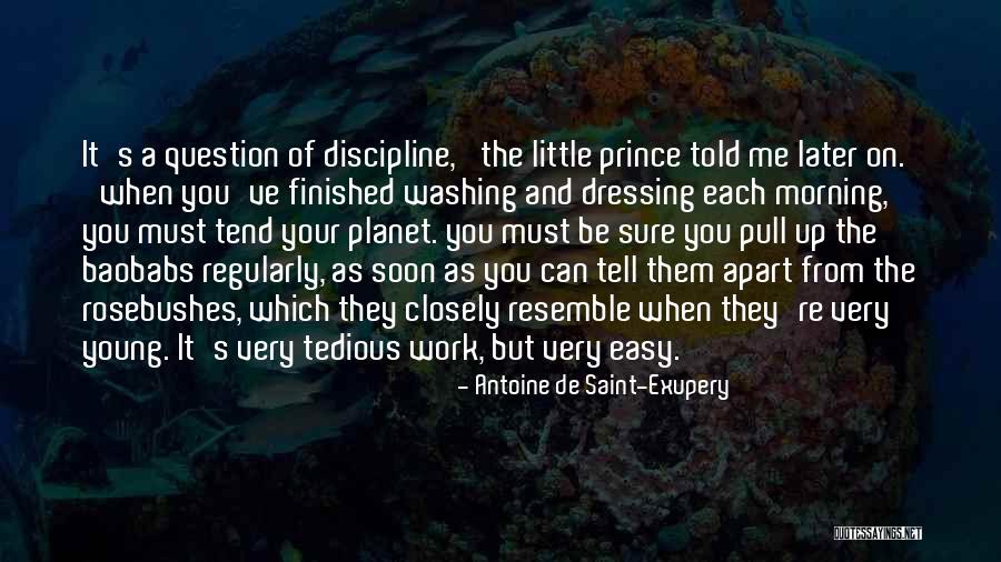 Washing Up Quotes By Antoine De Saint-Exupery Washing Up Quotes By Antoine De Saint-Exupery