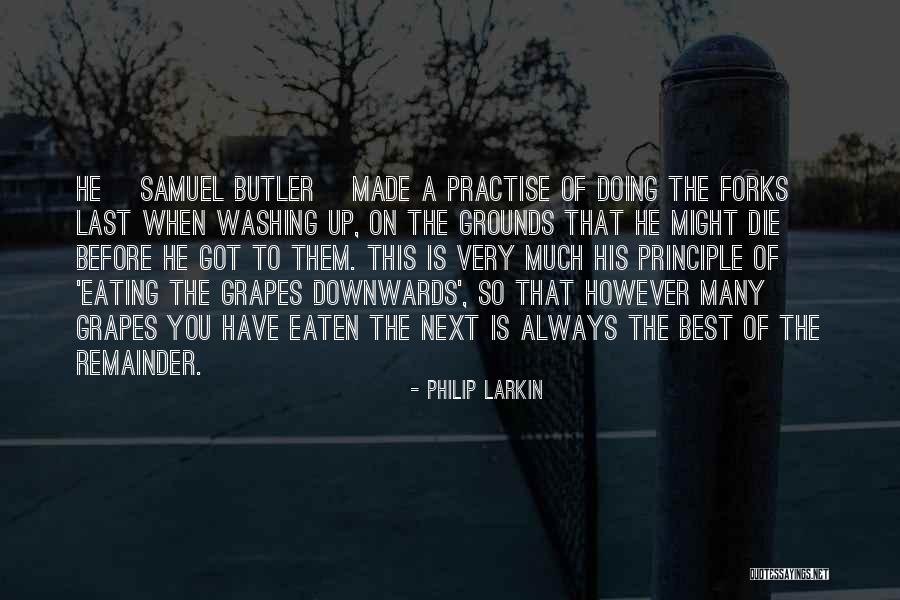 Washing Up Quotes By Philip Larkin Washing Up Quotes By Philip Larkin