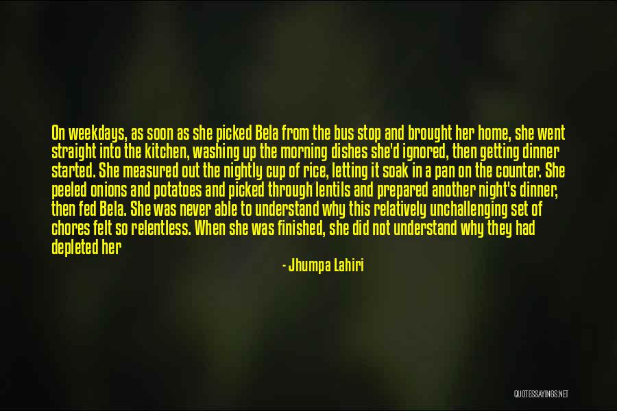 Washing Your Own Dishes Quotes By Jhumpa Lahiri