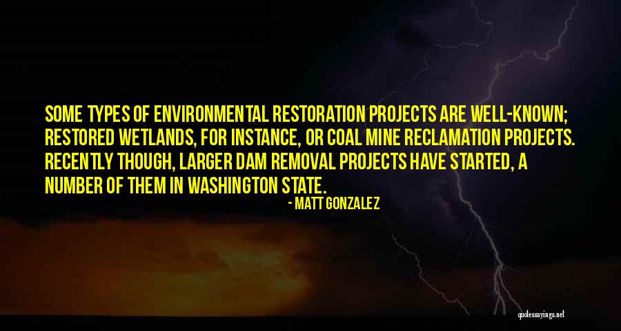 Washington State Quotes By Matt Gonzalez