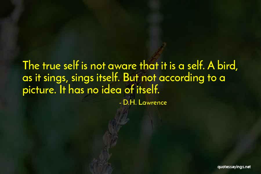 Washington Wine Humor Quotes By D.H. Lawrence Washington Wine Humor Quotes By D.H. Lawrence