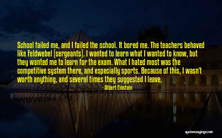 Wasn't Worth It Quotes By Albert Einstein