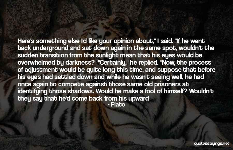 Wasn't Worth It Quotes By Plato