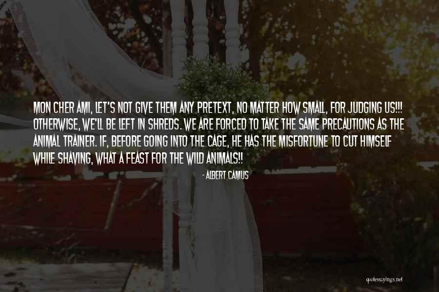 Wasp Factory Setting Quotes By Albert Camus Wasp Factory Setting Quotes By Albert Camus