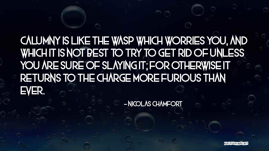 Wasp Like Quotes By Nicolas Chamfort Wasp Like Quotes By Nicolas Chamfort