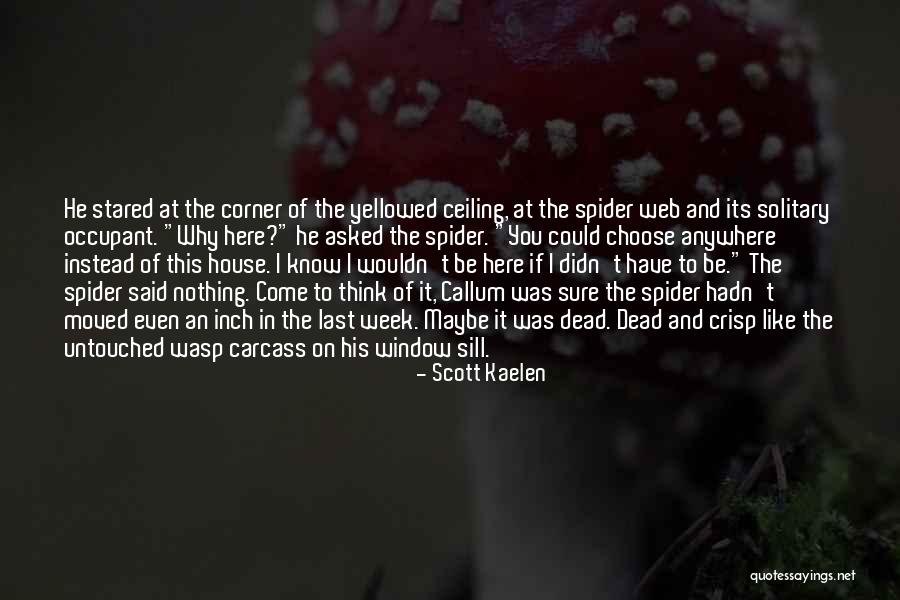 Wasp Like Quotes By Scott Kaelen Wasp Like Quotes By Scott Kaelen