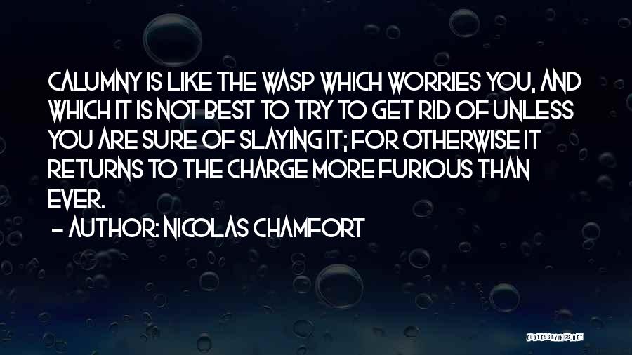 Wasp Quotes By Nicolas Chamfort