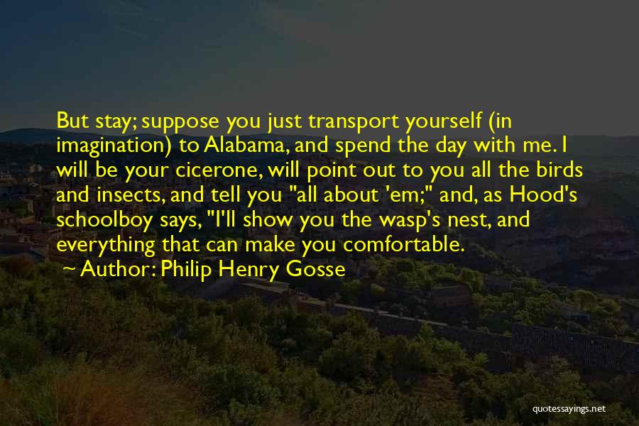 Wasp Quotes By Philip Henry Gosse