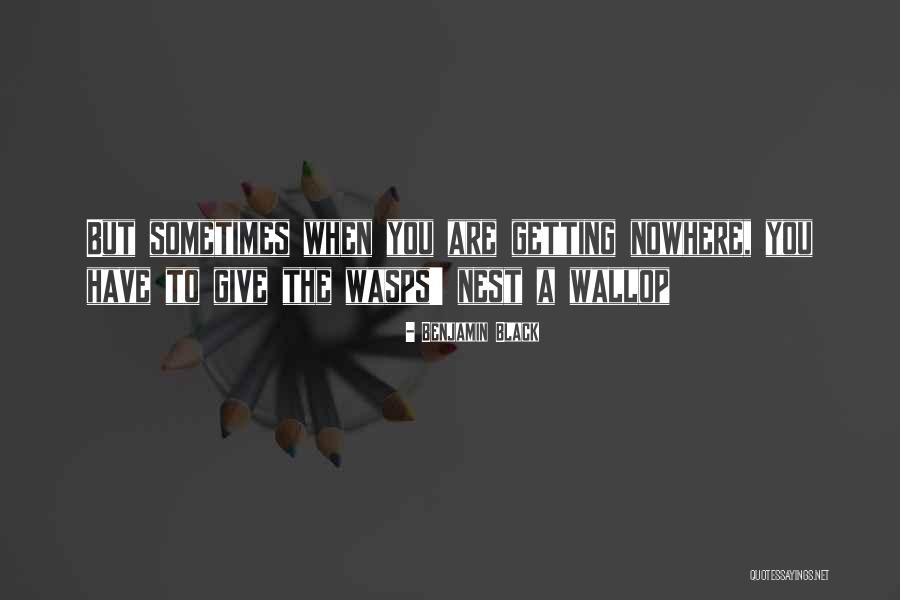 Wasps Nest Quotes By Benjamin Black Wasps Nest Quotes By Benjamin Black