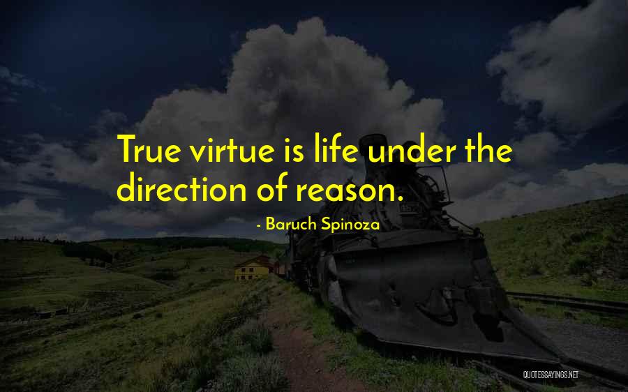 Wasserstrom Phone Quotes By Baruch Spinoza Wasserstrom Phone Quotes By Baruch Spinoza
