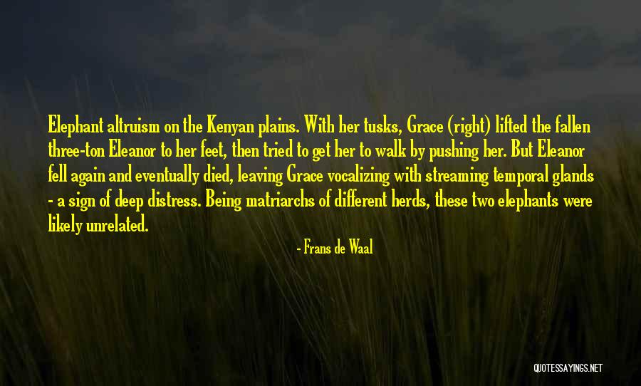 Wassilewskija Quotes By Frans De Waal Wassilewskija Quotes By Frans De Waal