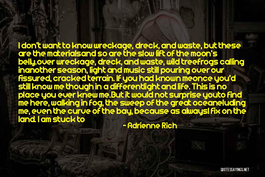 Waste Materials Quotes By Adrienne Rich