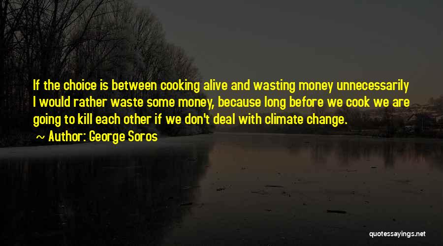 Waste Money Quotes By George Soros