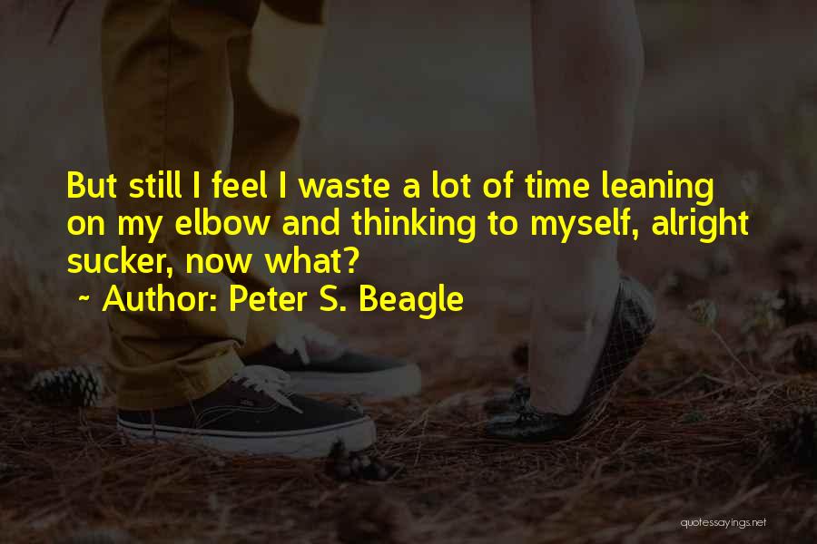 Waste My Time Quotes By Peter S. Beagle