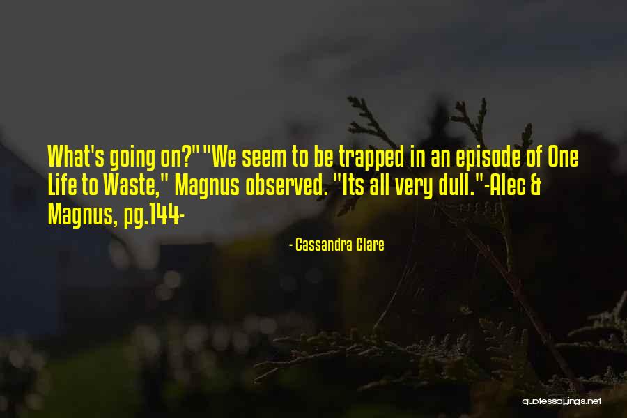 Waste Of Life Quotes By Cassandra Clare