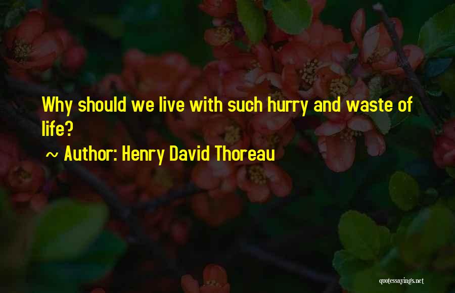 Waste Of Life Quotes By Henry David Thoreau