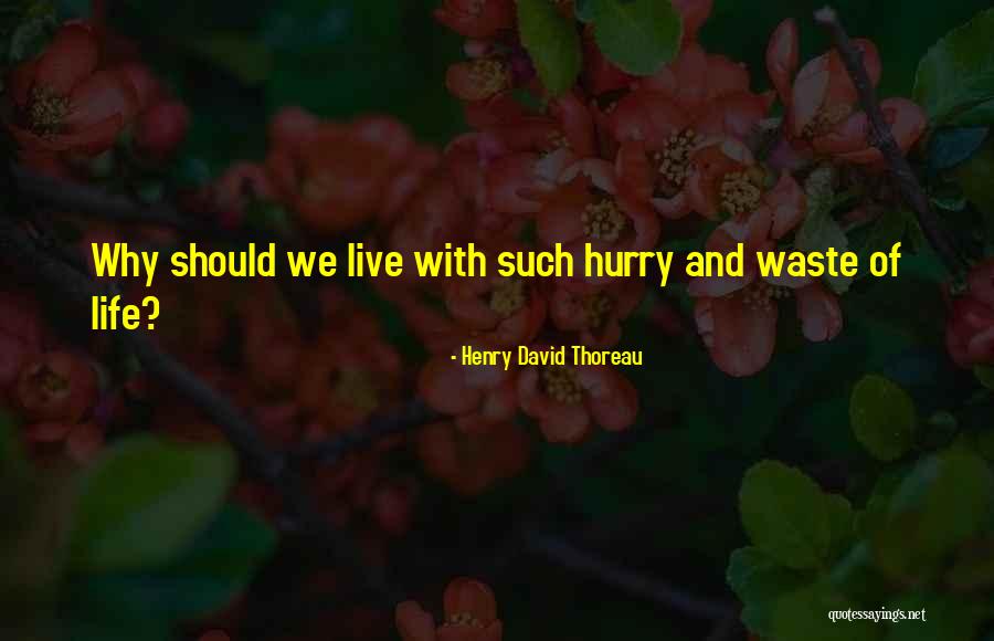 Waste Of Life Quotes By Henry David Thoreau