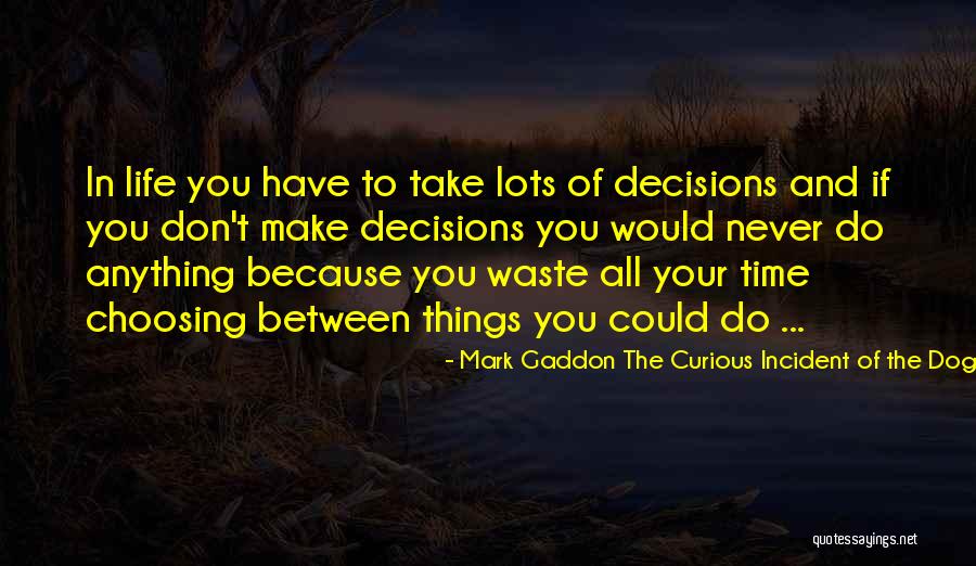 Waste Of Life Quotes By Mark Gaddon The Curious Incident Of The Dog In The Night-Time