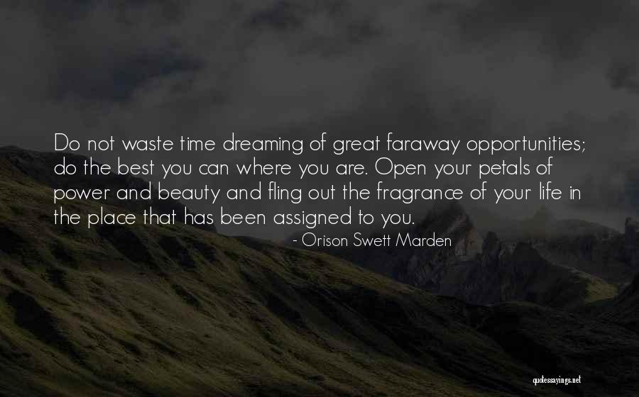 Waste Of Life Quotes By Orison Swett Marden