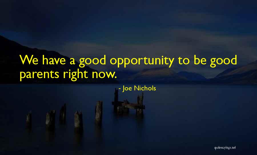 Wasted In Real Life Quotes By Joe Nichols Wasted In Real Life Quotes By Joe Nichols