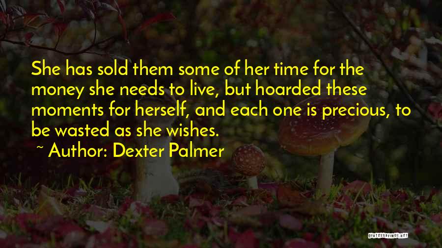 Wasted Money Quotes By Dexter Palmer