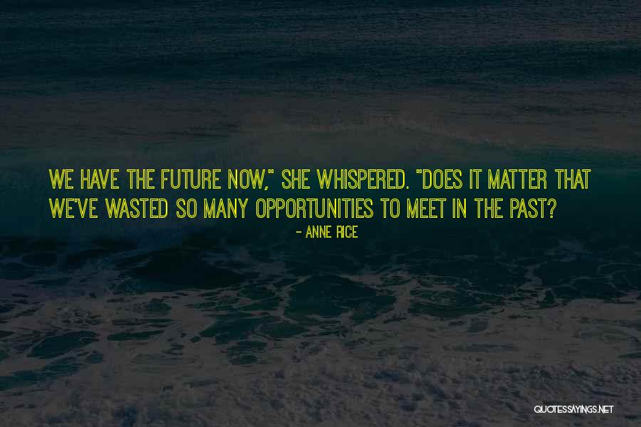 Wasted Opportunities Quotes By Anne Rice Wasted Opportunities Quotes By Anne Rice