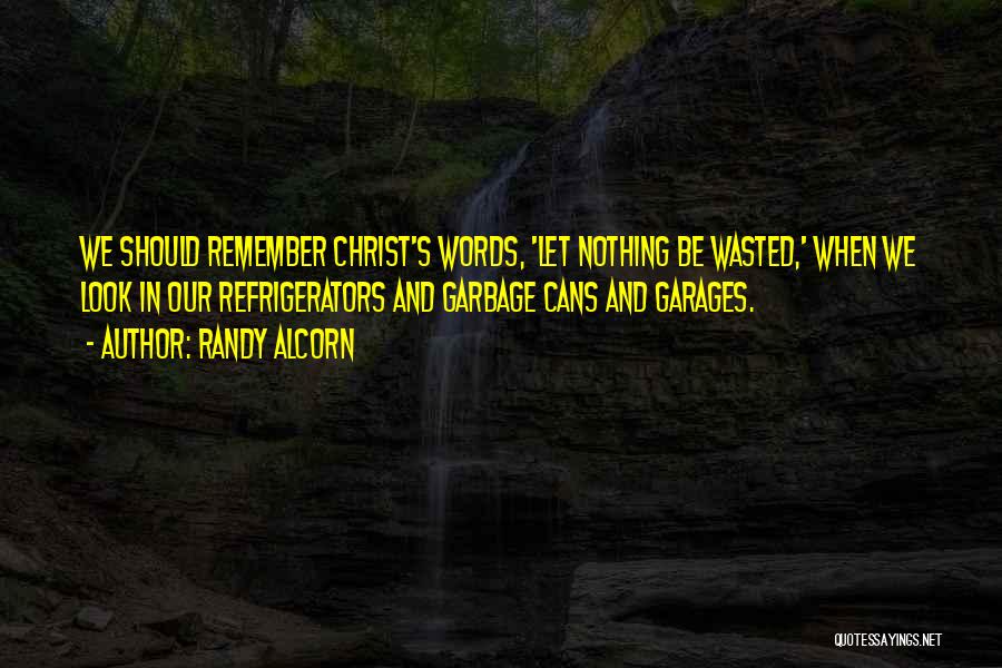 Wasted Words Quotes By Randy Alcorn