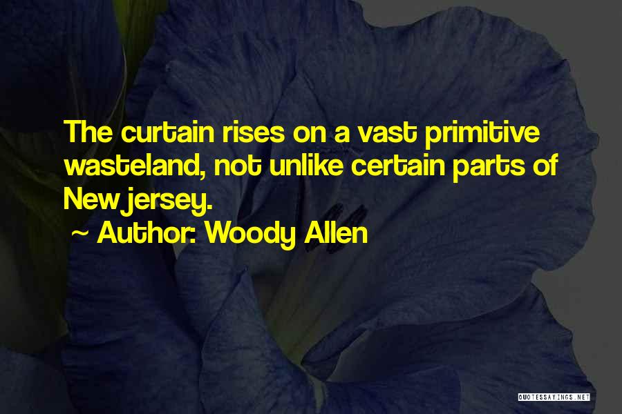 Wasteland Quotes By Woody Allen