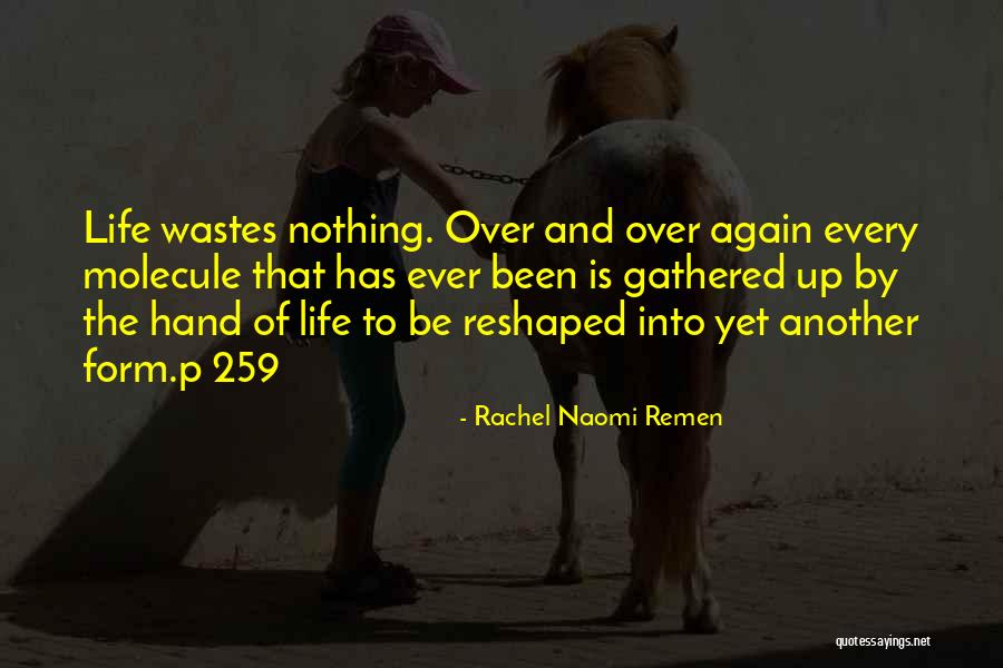Wastes Quotes By Rachel Naomi Remen Wastes Quotes By Rachel Naomi Remen