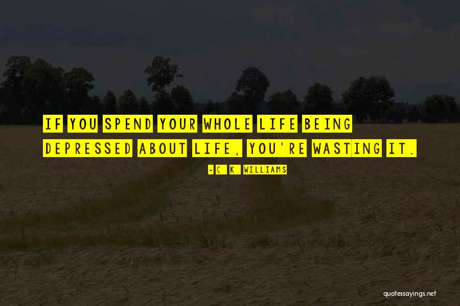 Wasting Life Quotes By C. K. Williams