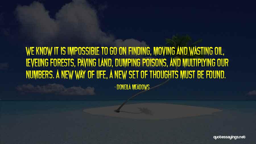 Wasting Life Quotes By Donella Meadows Wasting Life Quotes By Donella Meadows