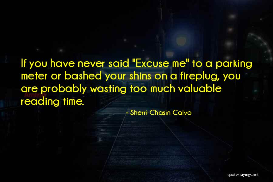 Wasting Valuable Time Quotes By Sherri Chasin Calvo