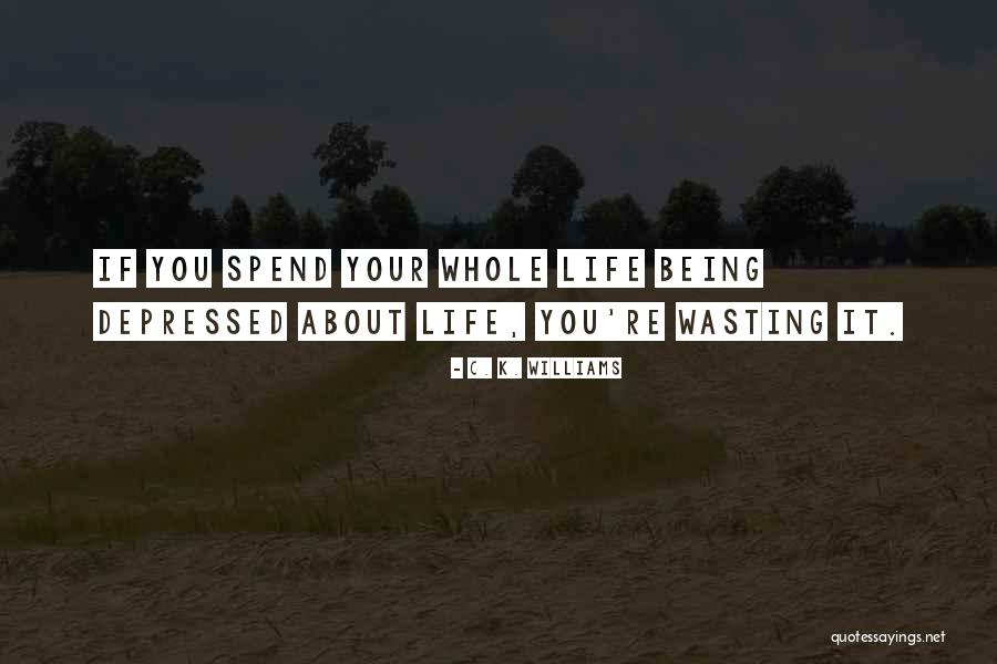 Wasting Your Life Quotes By C. K. Williams