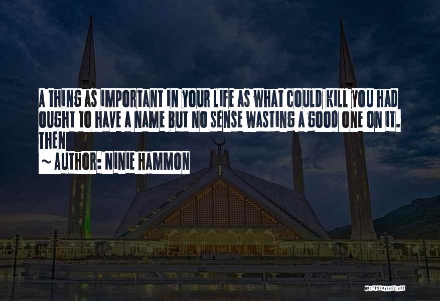 Wasting Your Life Quotes By Ninie Hammon