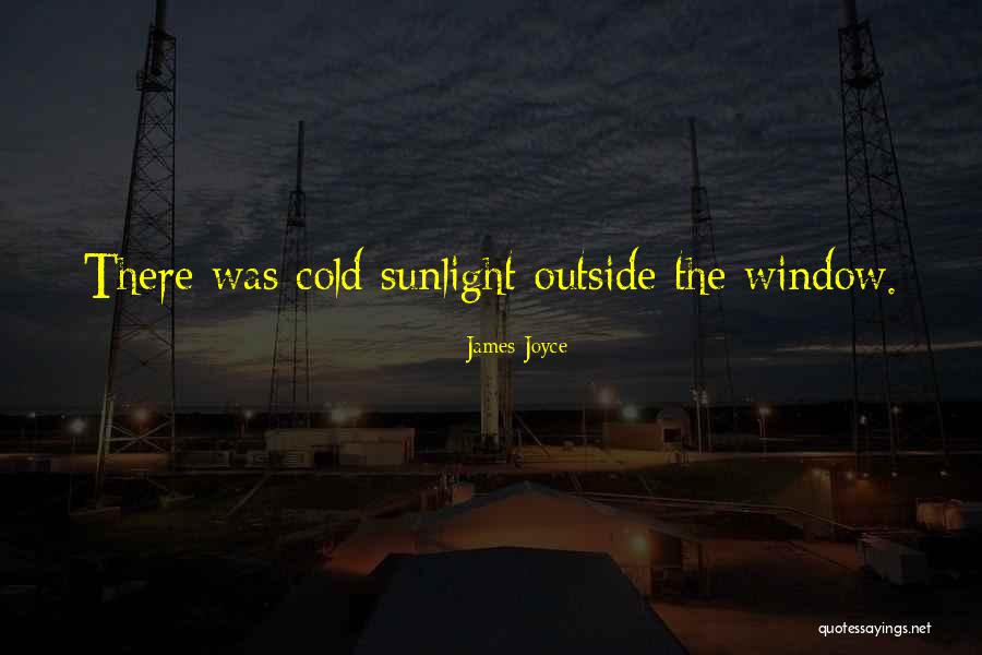 Wasting Your Time On A Boy Quotes By James Joyce