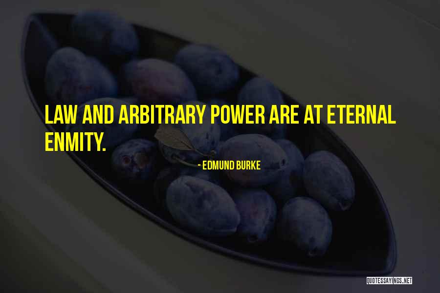 Wasun Restaurant Quotes By Edmund Burke