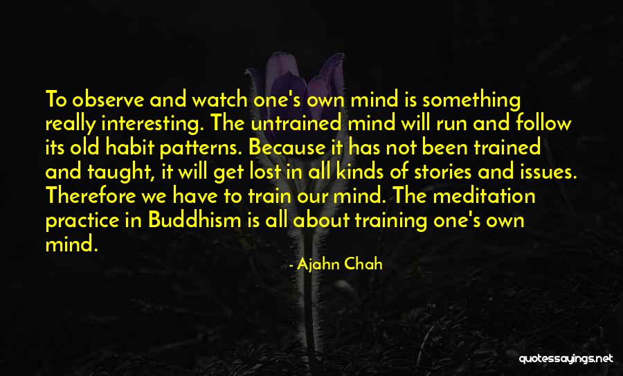 Watch And Observe Quotes By Ajahn Chah