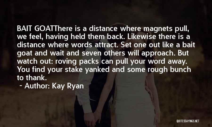 Watch And Wait Quotes By Kay Ryan